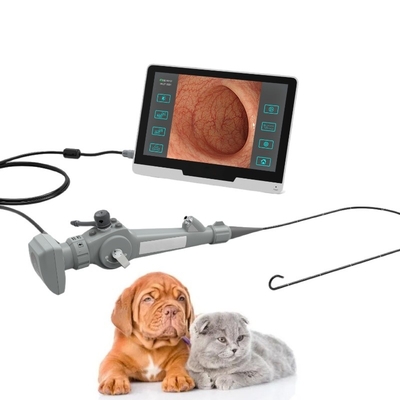 Endoscópio video flexível portátil para a cistoscopia animal Bronchscopy