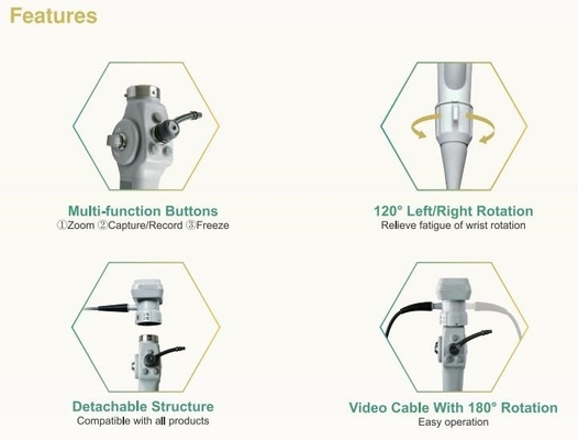 Endoscópio video flexível portátil para a cistoscopia animal Bronchscopy